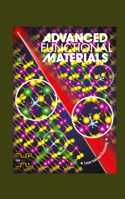 Origin and Potentialities of the Selective Host-Matrix Effect in Hydrogenated III-V-N Alloys - New Article
