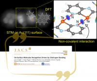 DFT calculations reveal that molecular dimers observed to form on a gold surface are bound by non-covalent chalcogen bonding interactions.
